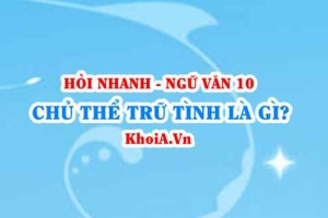 Chủ thể trữ tình là gì? Ngữ Văn lớp 10